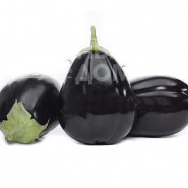 Насіння баклажанів Раунд F1 / Raund F1 купити оптом і в роздріб в Україні за вигідною ціною