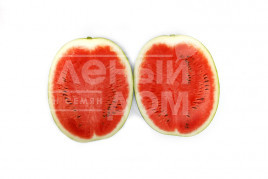 Насіння кавуна Бретона F1 / Bretona F1, 65-68 днів купити оптом і в роздріб в Україні за вигідною ціною