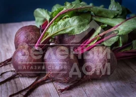 Семена свеклы Детройт Дарк Ред / Detrojt Dark Red, 55-57 дней купить оптом и в розницу в Украине по выгодной цене