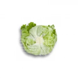 Семена салата Икебанас / Ikebanas купить оптом и в розницу в Украине по выгодной цене