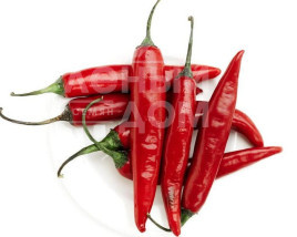 Насіння гіркого перцю Ангаріка F1 / Angarika F1,50-55 днів купити оптом і в роздріб в Україні за вигідною ціною