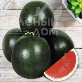 Насіння кавуна Ромерія / Romeria купити оптом і в роздріб в Україні за вигідною ціною