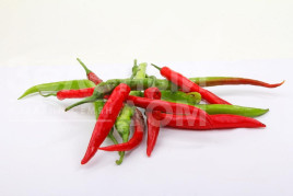 Насіння гіркого перцю Атакама F1 / Atakama F1,75-80 днів купити оптом і в роздріб в Україні за вигідною ціною