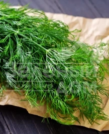 Семена укропа Мега Тетра / Mega Tetra купить оптом и в розницу в Украине по выгодной цене