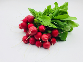 Насіння редису Прада F1 / Prada F1, 25-35 днів купити оптом і в роздріб в Україні за вигідною ціною