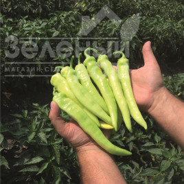 Насіння гіркого перцю Ангара F1 / Angara F1,80 днів купити оптом і в роздріб в Україні за вигідною ціною