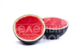 Семена арбуза Амалтея F1 / Amaltea F1, 62-65 дней купить оптом и в розницу в Украине по выгодной цене