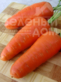 Насіння моркви Акат F1 / Akat F1 купити оптом і в роздріб в Україні за вигідною ціною