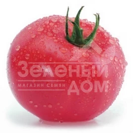 Семена томатов Касамори F1 / Kasamori F1,105-115 дней купить оптом и в розницу в Украине по выгодной цене