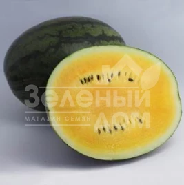 Семена арбуза КС 500 F1/  KS 500 F1,60-65 дней купить оптом и в розницу в Украине по выгодной цене