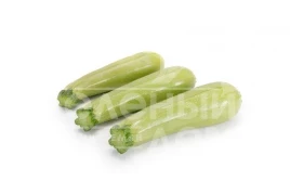 Семена кабачков Манисес F1 / Manises F1 купить оптом и в розницу в Украине по выгодной цене