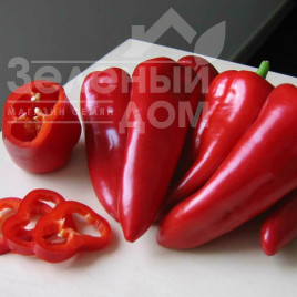 Насіння солодкого перцю Самандер F1 / Samander F1,55-65 днів купити оптом і в роздріб в Україні за вигідною ціною