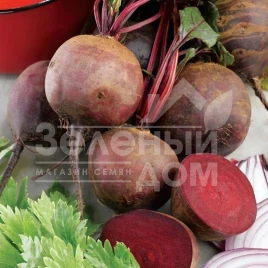 Семена свеклы Болтарди / Boltardy,100-110 дней купить оптом и в розницу в Украине по выгодной цене