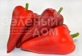Насіння солодкого перцю Амулет F1 / Amulet F1, 50-60 днів купити оптом і в роздріб в Україні за вигідною ціною