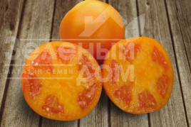 Насіння томатів Айсан F1 / Aysan F1,115-125 днів купити оптом і в роздріб в Україні за вигідною ціною