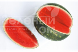 Насіння кавуна Фасінейшн F1 / Fasineyshn F1,62-64 днів купити оптом і в роздріб в Україні за вигідною ціною