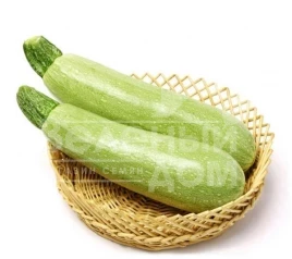 Семена кабачков Элеонор F1 / Eleonor F1 купить оптом и в розницу в Украине по выгодной цене