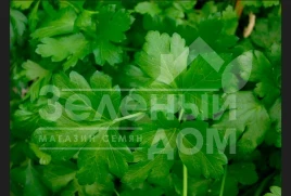 Семена петрушки Топит / Topit купить оптом и в розницу в Украине по выгодной цене