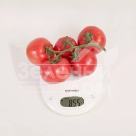 Семена томатов КС 311 F1 / KS 311 F1 купить оптом и в розницу в Украине по выгодной цене