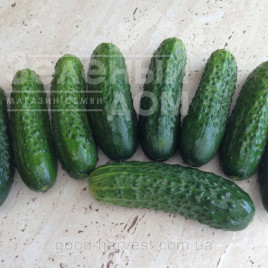 Насіння огірків Роял F1 / Royal F1,48-50 днів купити оптом і в роздріб в Україні за вигідною ціною