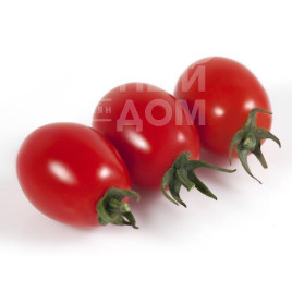 Насіння томатів КС 3640 F1 / KS 3640 F1,95-100 днів купити оптом і в роздріб в Україні за вигідною ціною