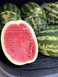 Насіння кавуна Атакан F1 / Atakan F1  купити оптом і в роздріб в Україні за вигідною ціною