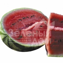 Семена арбуза Ледус F1 / Ledus F1, 68-70 дней купить оптом и в розницу в Украине по выгодной цене