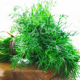 Насіння кропу Тетра / Tetra  купити оптом і в роздріб в Україні за вигідною ціною