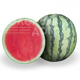 Насіння кавуна Леопард F1 / Leopard F1 купити оптом і в роздріб в Україні за вигідною ціною