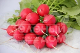 Семена редиса Элиза F1 / Eliza F1 (Премиум),20-30дней купить оптом и в розницу в Украине по выгодной цене