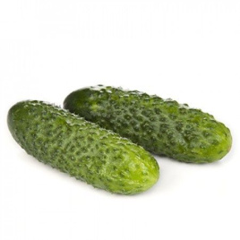 Насіння огірків Ліст F1 / Liszt F1,38-40 днів купити оптом і в роздріб в Україні за вигідною ціною