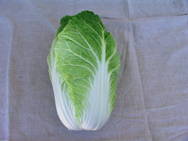 Насіння капусти пекінської Форко F1 / Forko F1,55-65 днів купити оптом і в роздріб в Україні за вигідною ціною