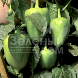 Семена сладкого перца Вулкан F1 / Vulcan F1, 65-70 дней купить оптом и в розницу в Украине по выгодной цене