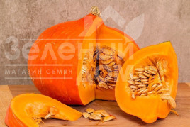Насіння гарбуза Натрія F1 / Natriya F1,80-90 днів купити оптом і в роздріб в Україні за вигідною ціною