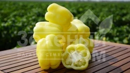 Семена сладкого перца Никита F1 / Nikita F1,70 дней купить оптом и в розницу в Украине по выгодной цене