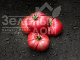 Насіння томатів Сонароза F1 / Sonaroza F1 купити оптом і в роздріб в Україні за вигідною ціною