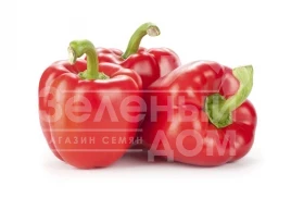 Семена сладкого перца Актор F1 / Aktor F1 купить оптом и в розницу в Украине по выгодной цене