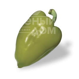 Насіння солодкого перцю Троян F1 / Trojan F1, 60-65 днів купити оптом і в роздріб в Україні за вигідною ціною