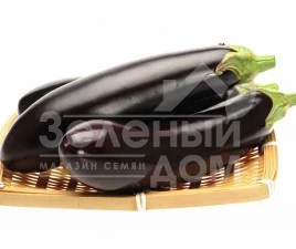 Семена баклажана Найт Леди F1 / Night Lady F1 купить оптом и в розницу в Украине по выгодной цене