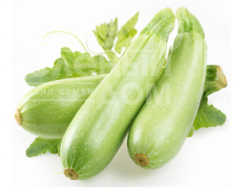 Насіння кабачків Езра F1 / Ezra F1,45 днів купити оптом і в роздріб в Україні за вигідною ціною