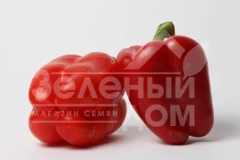 Семена сладкого перца Актеон / Akteon,65-75 дней купить оптом и в розницу в Украине по выгодной цене