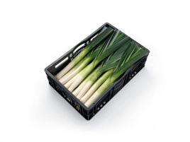 Цибуля порей Плустон F1 / Pluston F1, 110-120 днів купити оптом і в роздріб в Україні за вигідною ціною