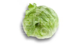 Насіння салату Солейсон / Soleyson купити оптом і в роздріб в Україні за вигідною ціною