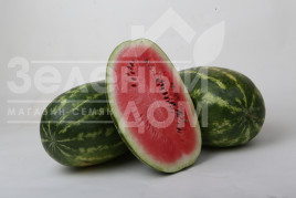 Насіння кавуна ЛС 1807 F1 / LS 1807 F1 купити оптом і в роздріб в Україні за вигідною ціною