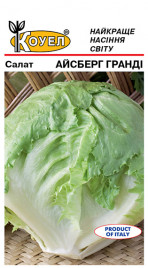 Насіння салату Айсберг Гранді / Iceberg Grandi купити оптом і в роздріб в Україні за вигідною ціною