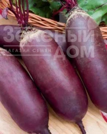 Насіння буряка Атаман / Ataman купити оптом і в роздріб в Україні за вигідною ціною