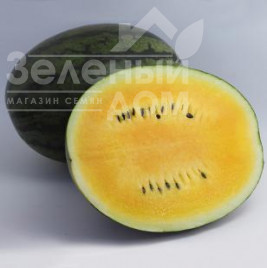 Насіння кавуна КС 500 F1/  KS 500 F1,60-65 днів купити оптом і в роздріб в Україні за вигідною ціною