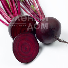 Насіння буряка Кестрел F1 / Kestrel F1,115-120 днів купити оптом і в роздріб в Україні за вигідною ціною