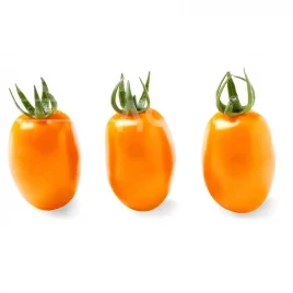 Семена томатов Фантино F1 / Fantino F1, 65-70 дней купить оптом и в розницу в Украине по выгодной цене