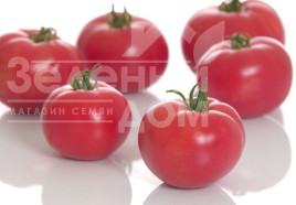 Насіння томатів Пінк Мун F1 / Pink Moon F1 купити оптом і в роздріб в Україні за вигідною ціною